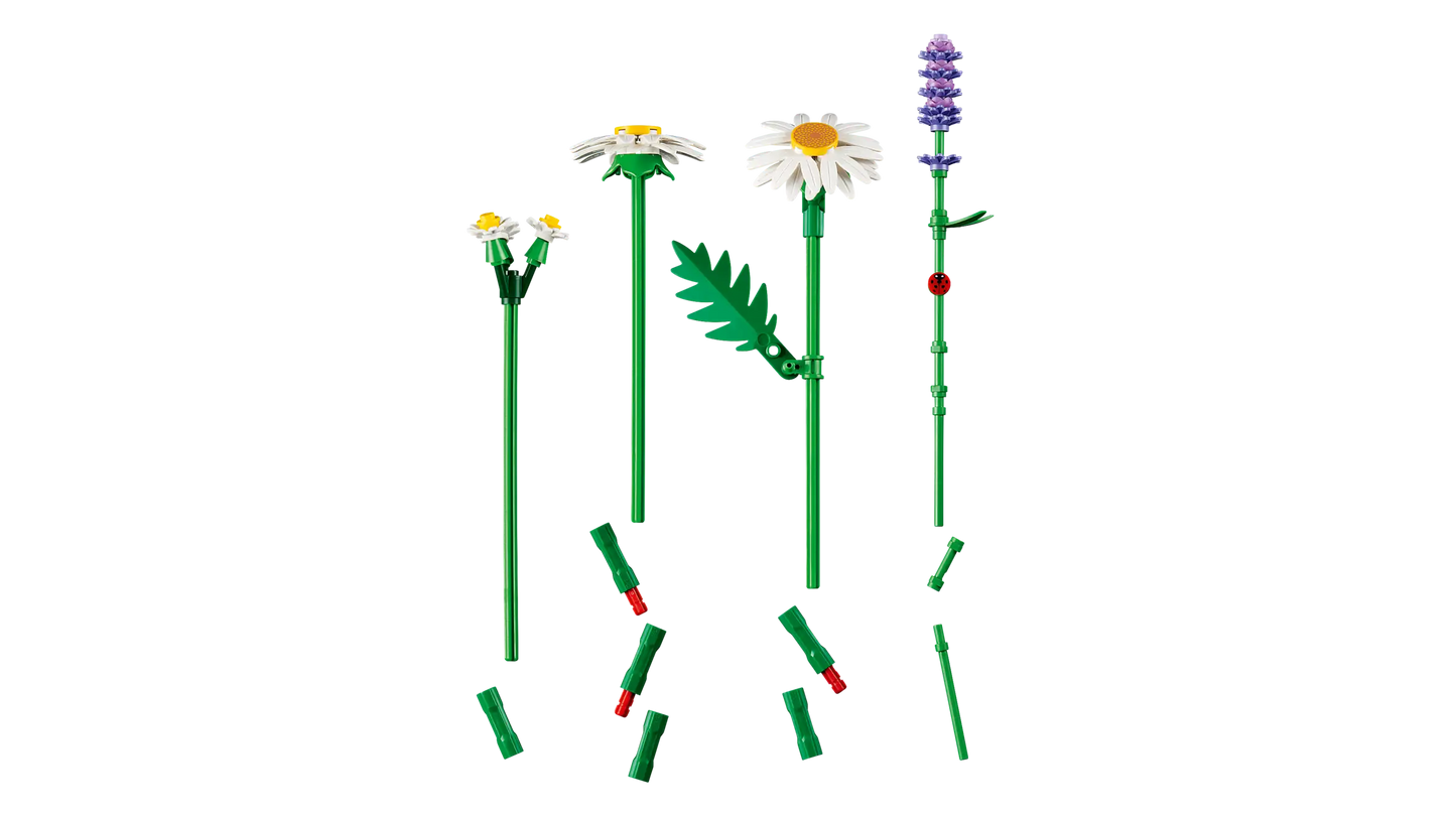 Botanical Collection: Daisies Building Kit