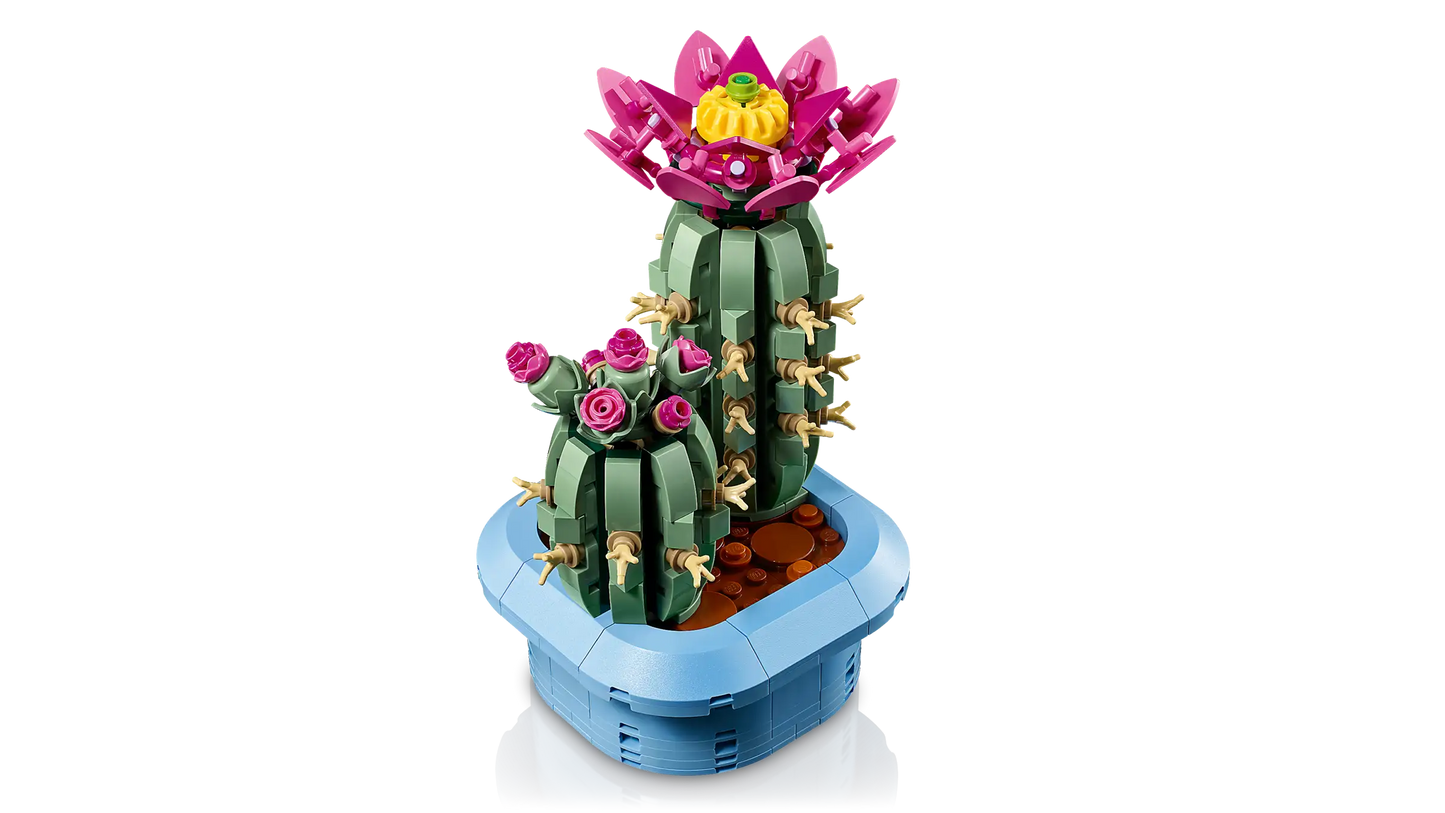 Botanical Collection: Flowering Cactus Building Kit