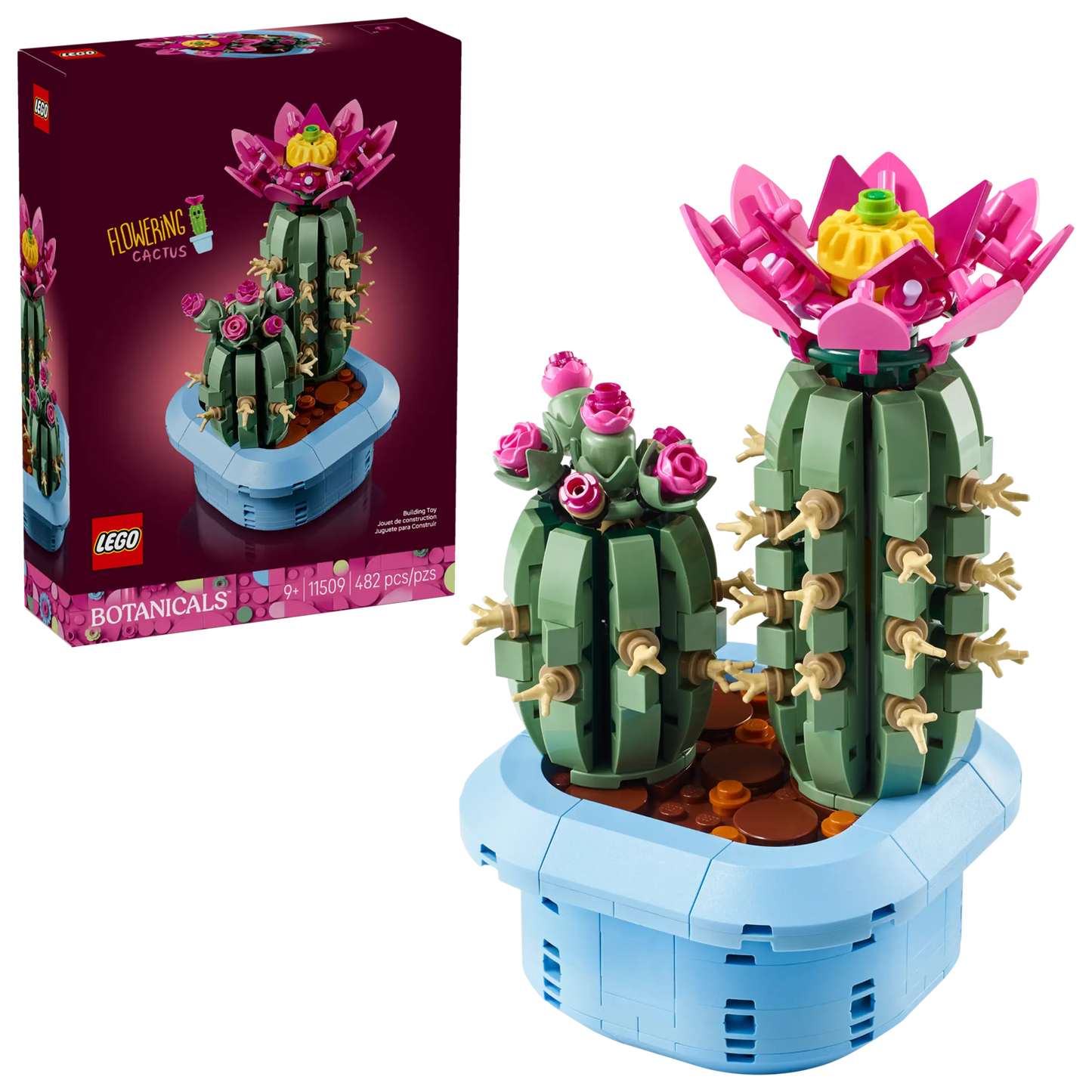 Botanical Collection: Flowering Cactus Building Kit