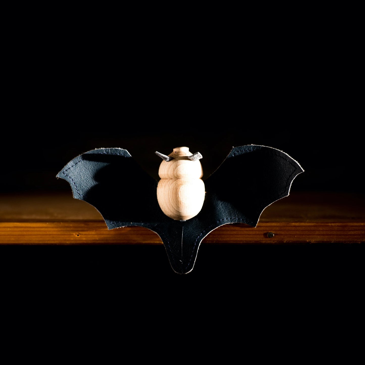 Play at Night - Open Winged Bat