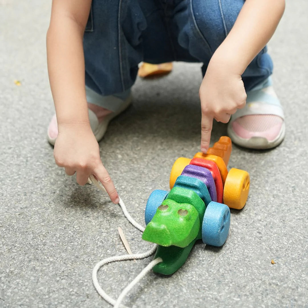 Pull-Along Rainbow Alligator
