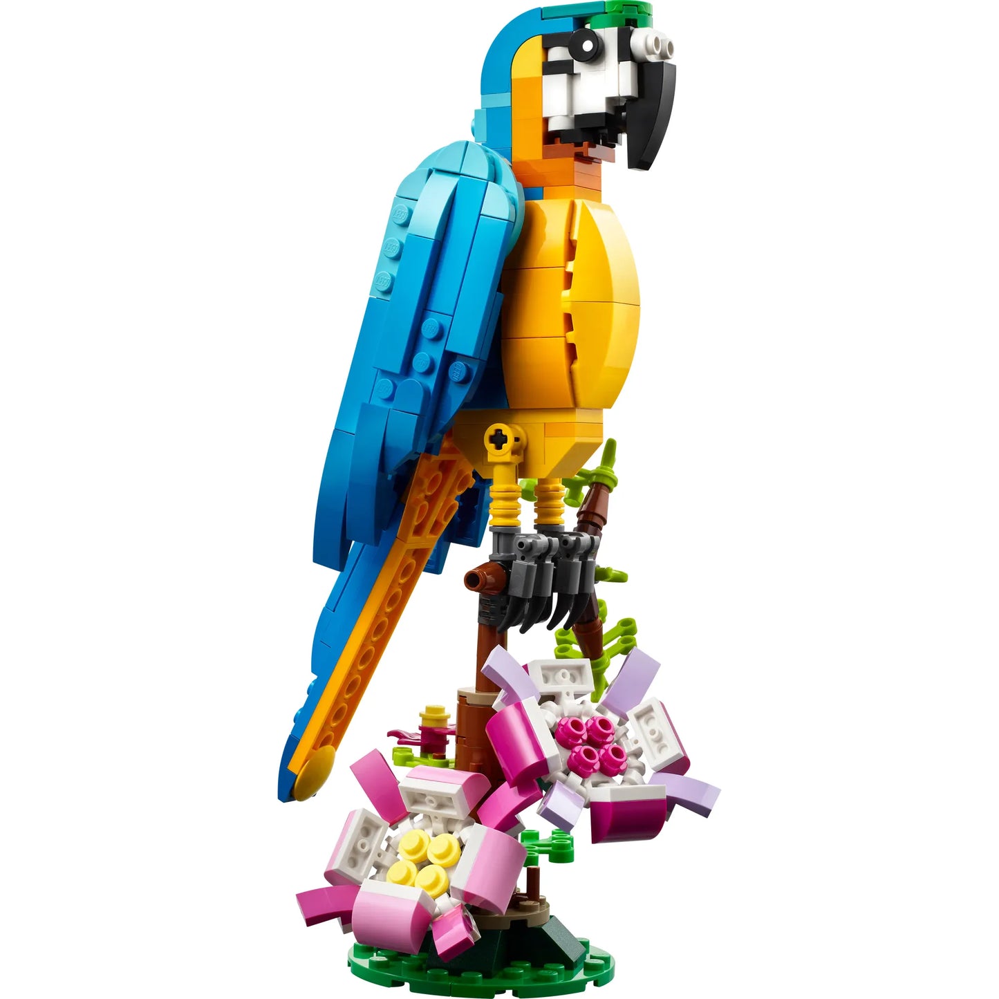 Creator: Exotic Parrot Building Set