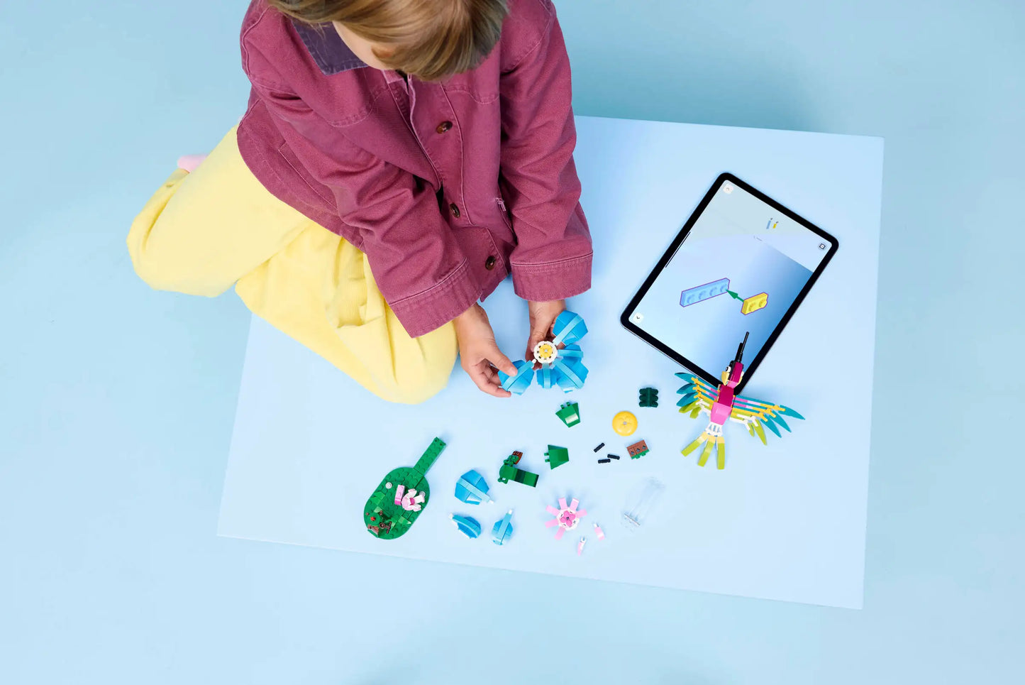 Creator: Wild Animals - Colourful Hummingbird Building Set