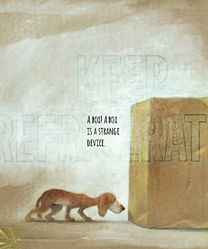 What to Do With a Box - Hardcover Picture Book