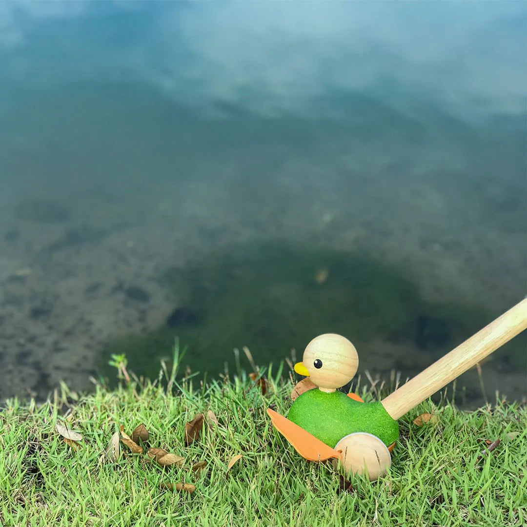 Push-Along Duck