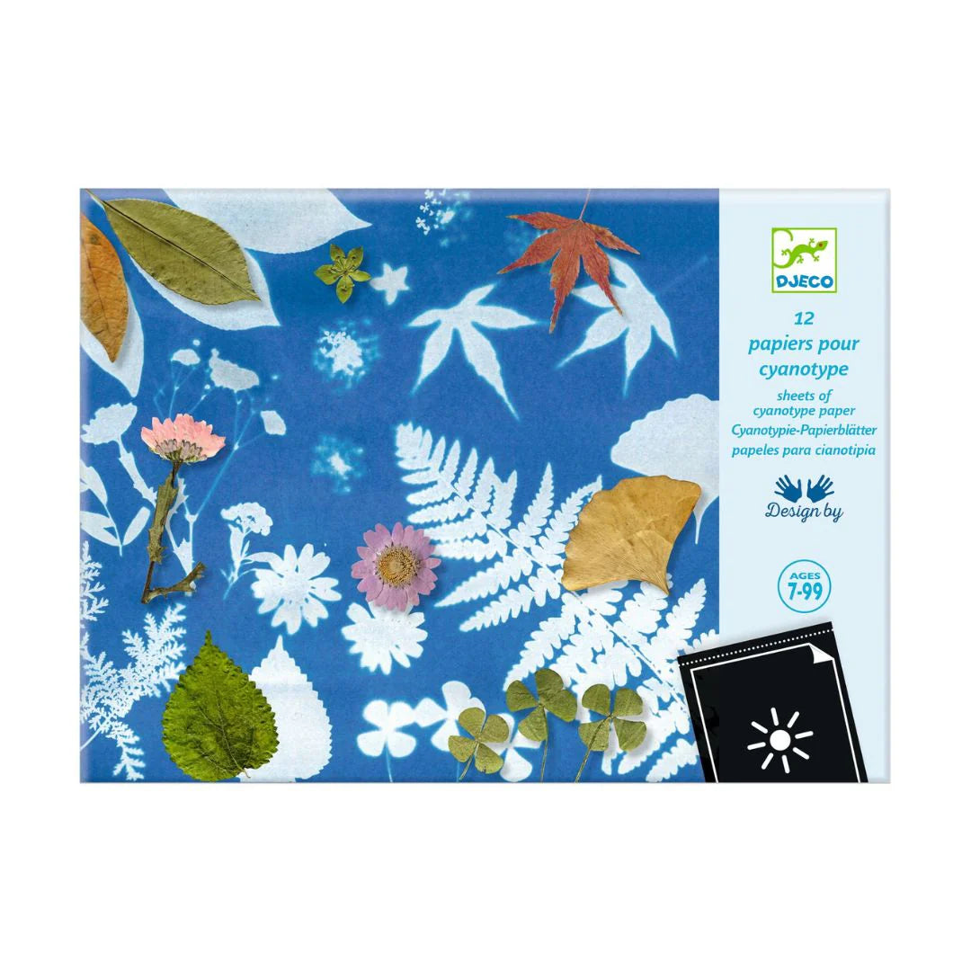 Cyanotype Paper