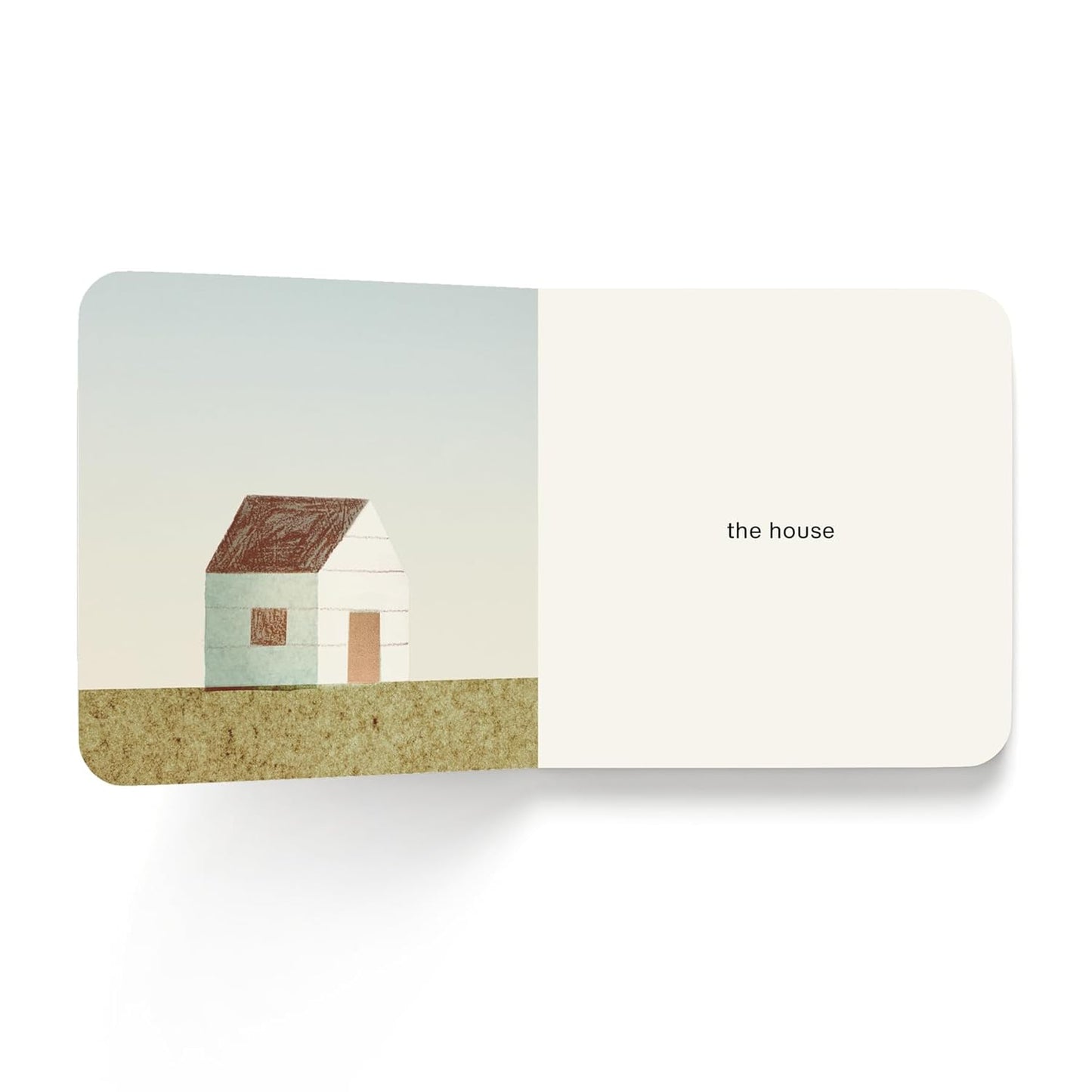 Now I See Summer - Board Book