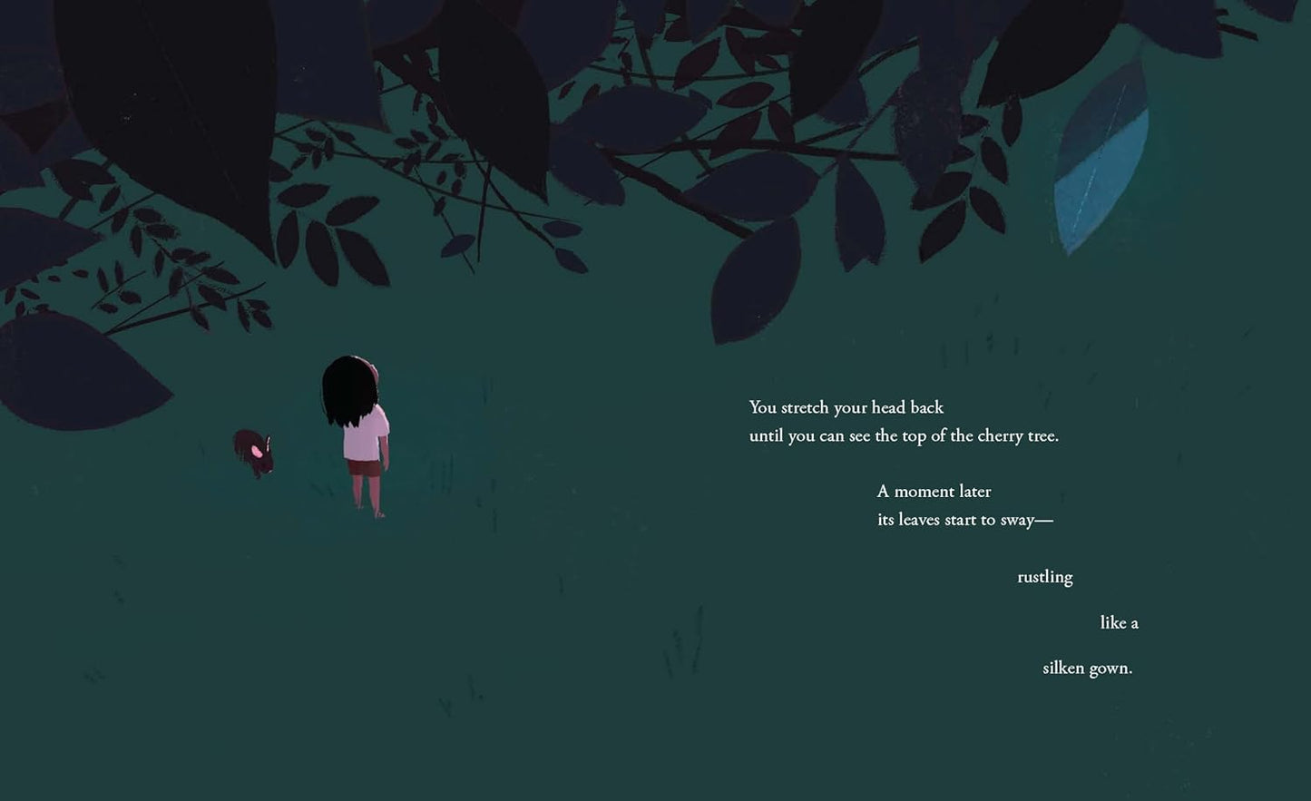 On a Summer Night - Hardcover Picture Book