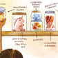 Memory Jars - Hardcover Picture Book