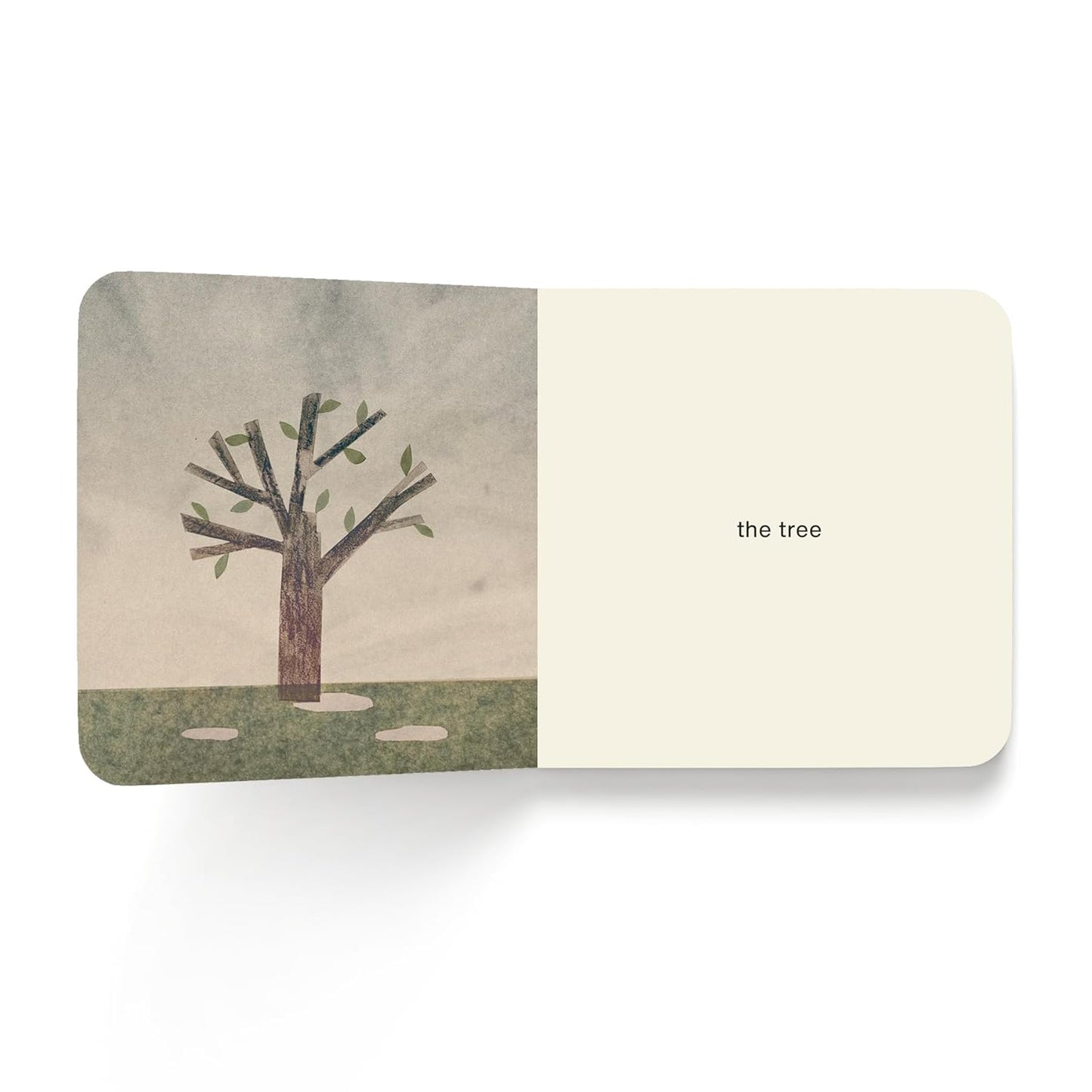 Now I See Spring - Board Book
