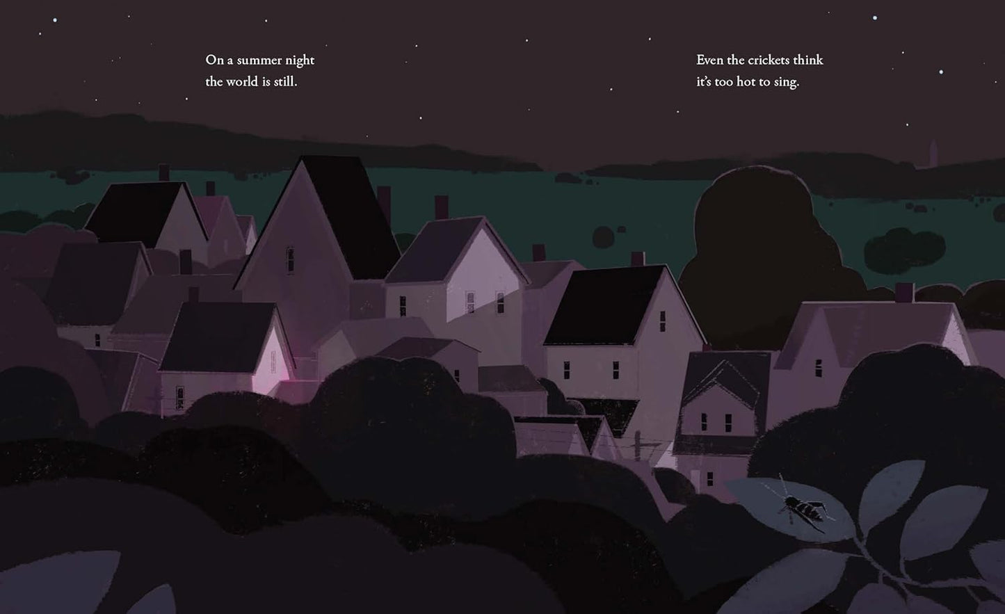 On a Summer Night - Hardcover Picture Book