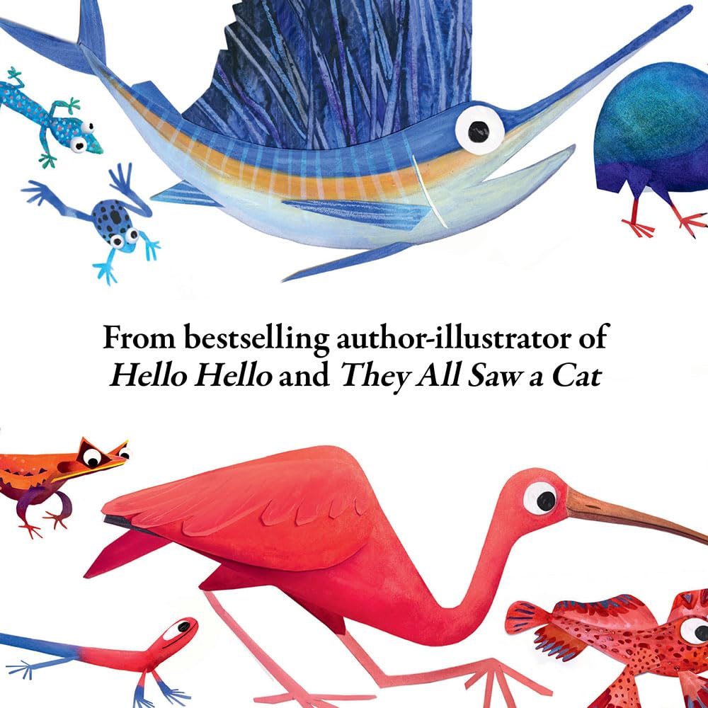 Hello Hello Colours - Board Book