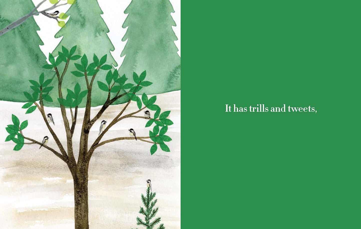 Forest - Hardcover Picture Book