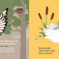 Wild About Dads - Hardcover Picture Book