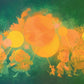 Bright Lights & Summer Nights - Hardcover Picture Book