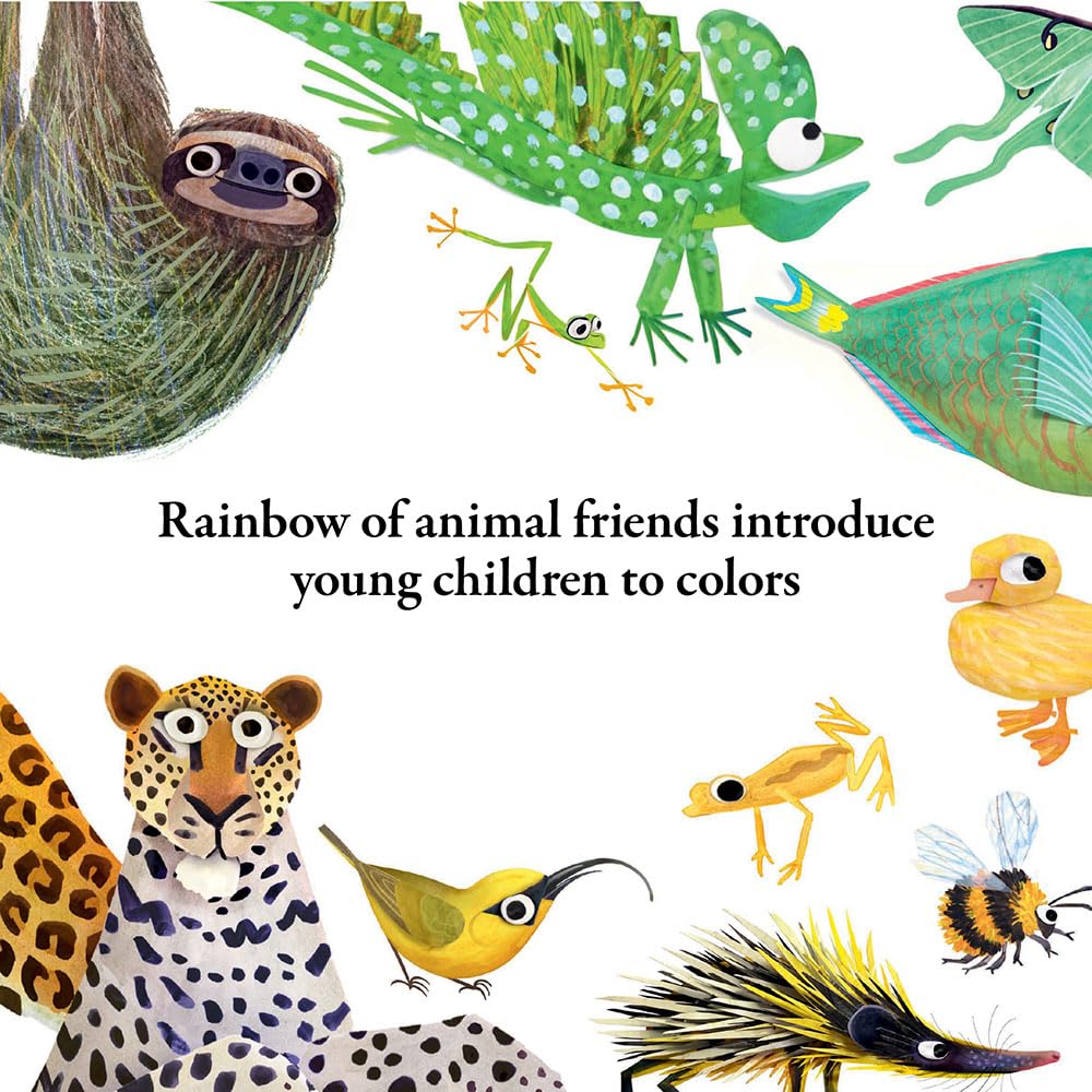 Hello Hello Colours - Board Book