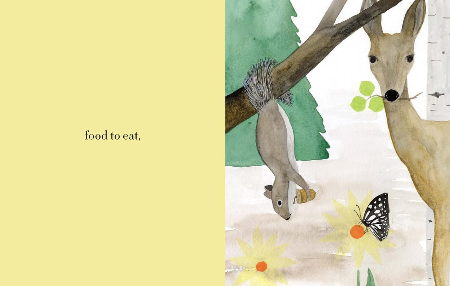 Forest - Hardcover Picture Book