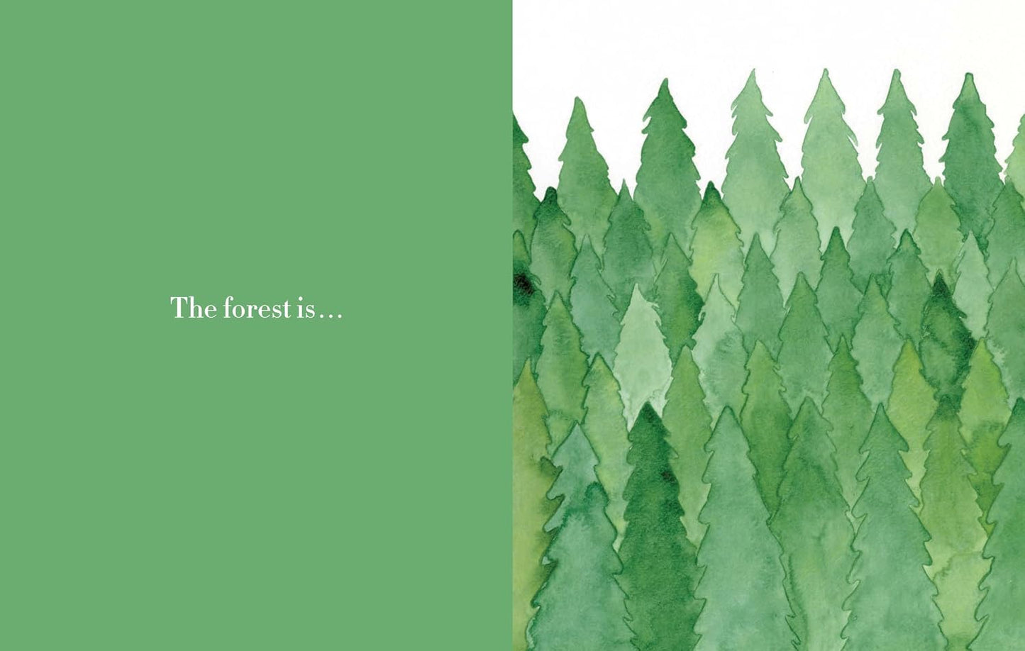 Forest - Hardcover Picture Book