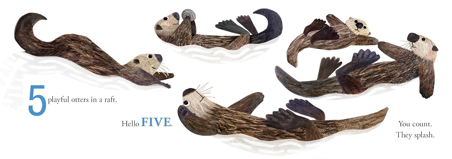 Hello Hello Numbers - Board Book