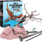 Dig a Dinosaur Kit