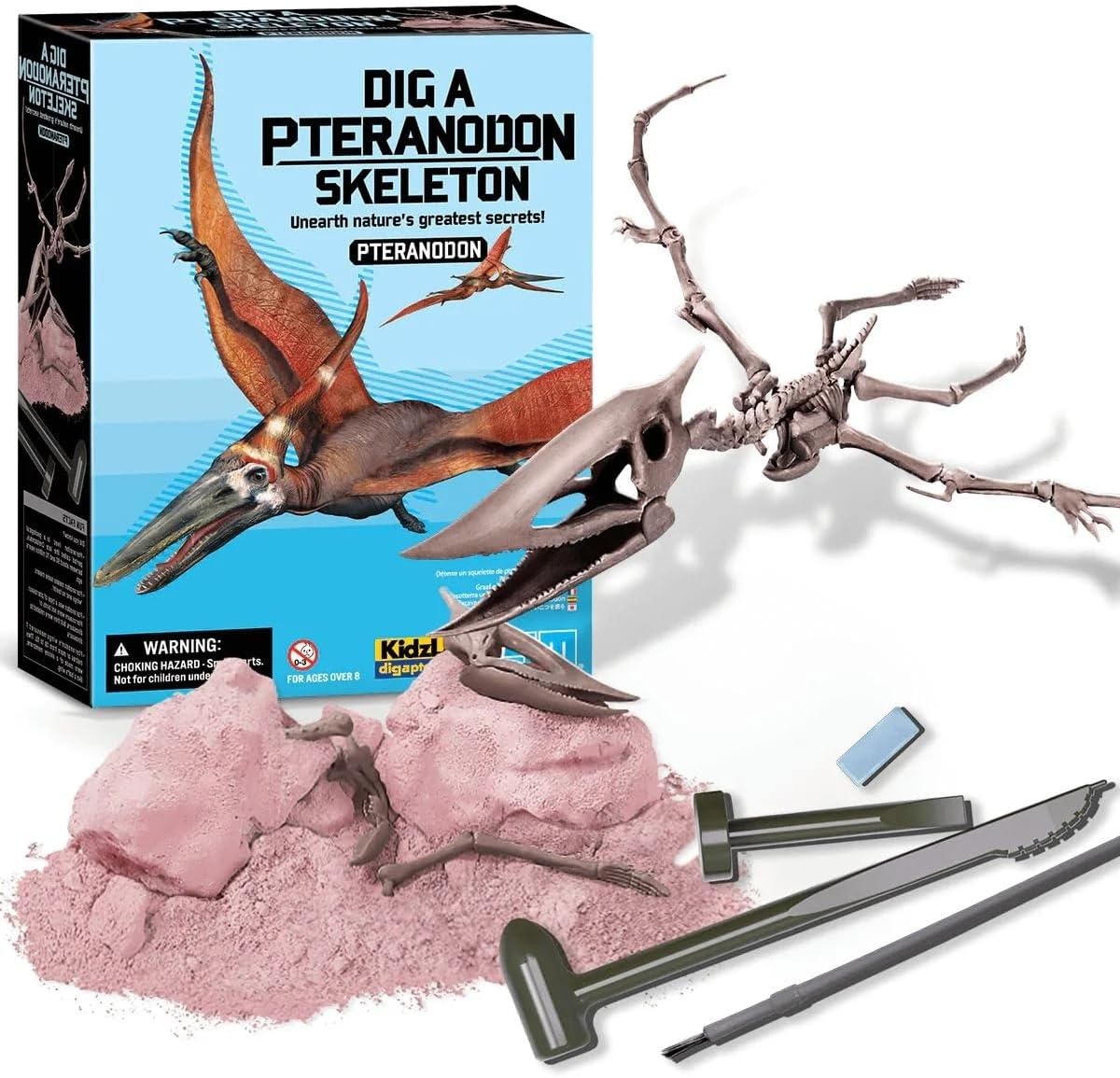 Dig a Dinosaur Kit