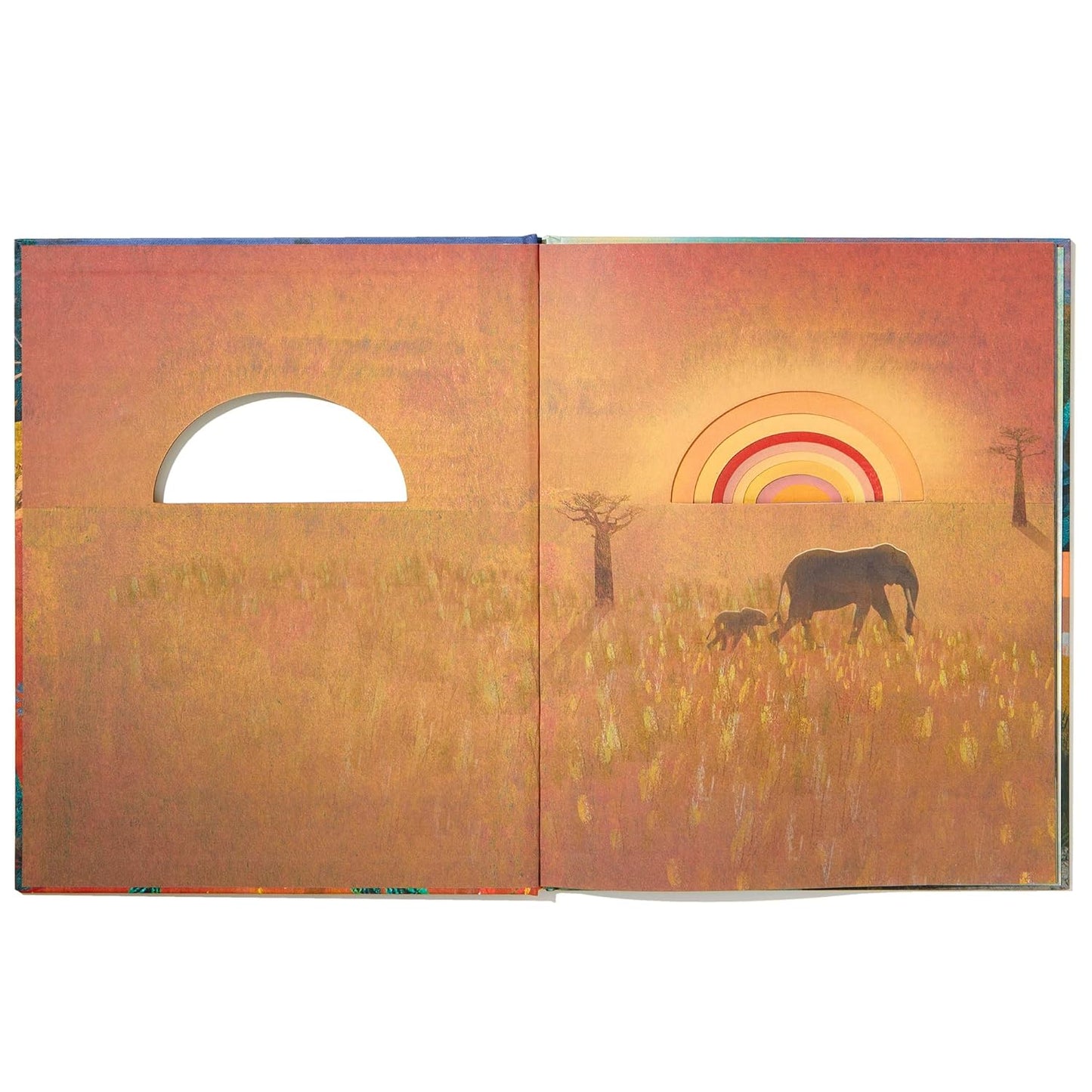 Family - A Peek-Through Hardcover Picture Book