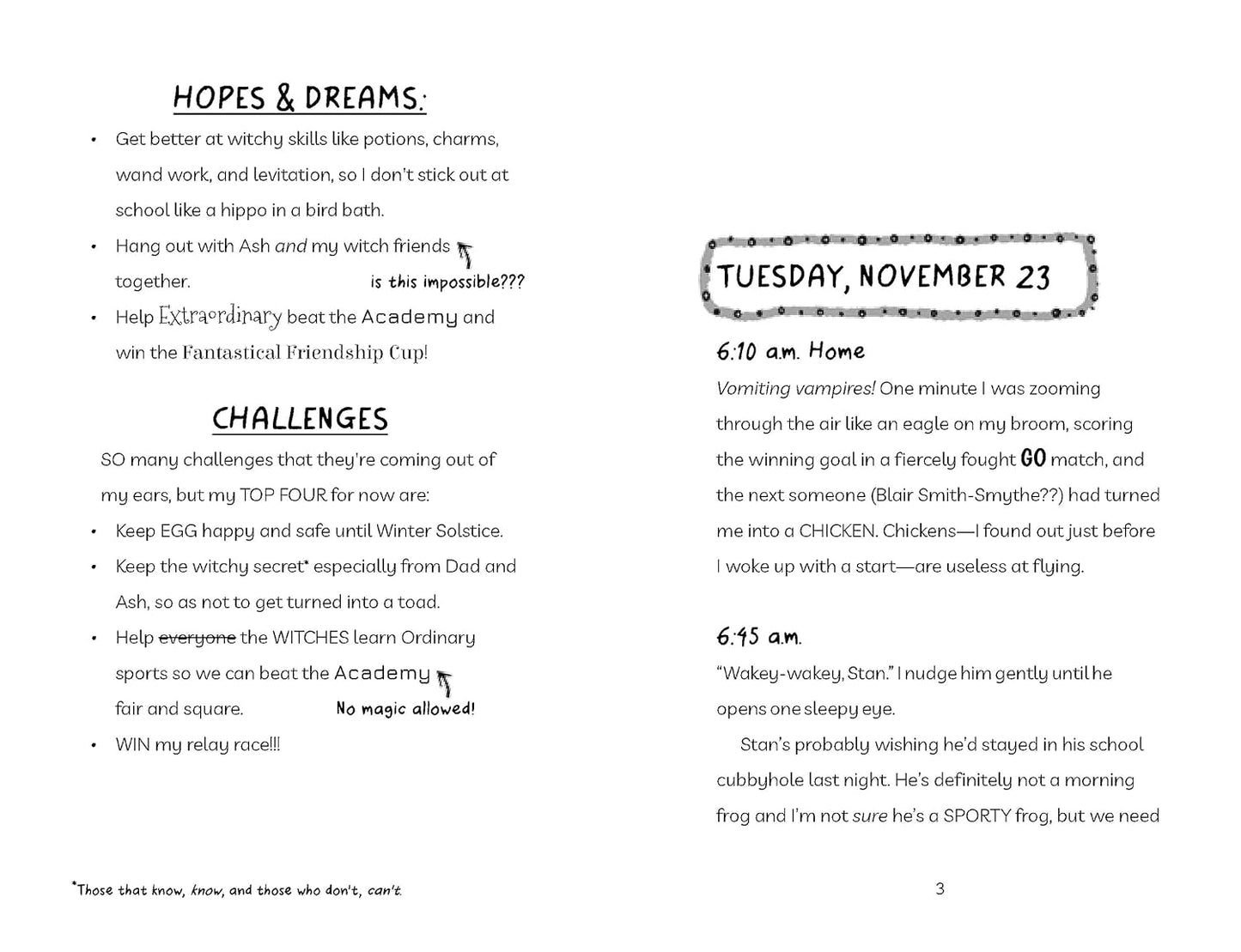 Diary of an Accidental Witch: Secret Spells (Book 4) - Paperback Novel