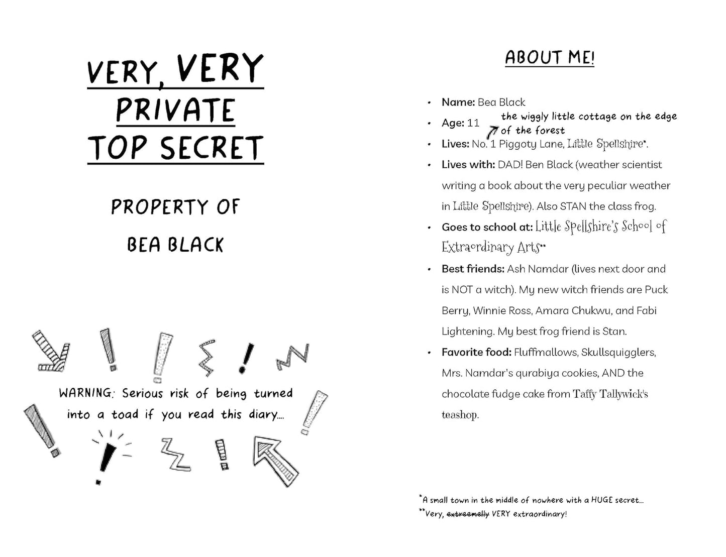 Diary of an Accidental Witch: Flying High (Book 3) - Paperback Novel