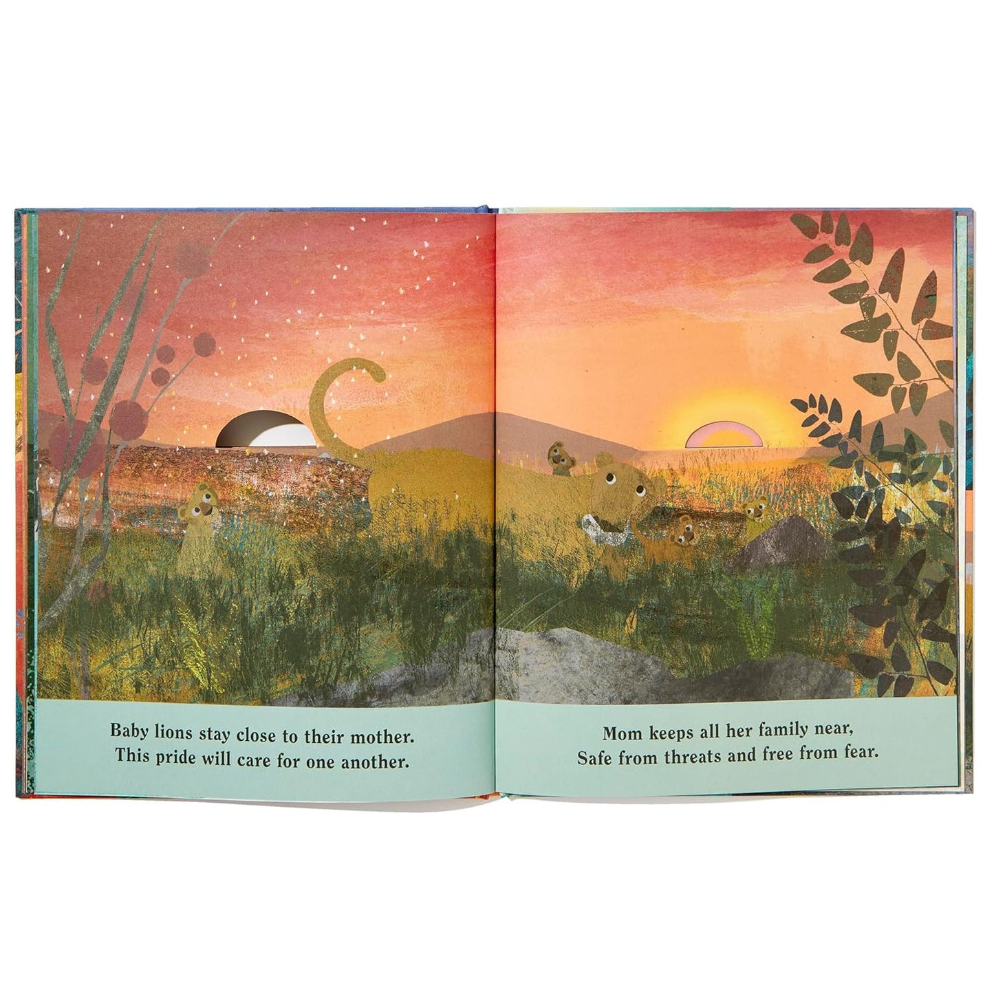Family - A Peek-Through Hardcover Picture Book