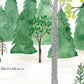 Forest - Hardcover Picture Book