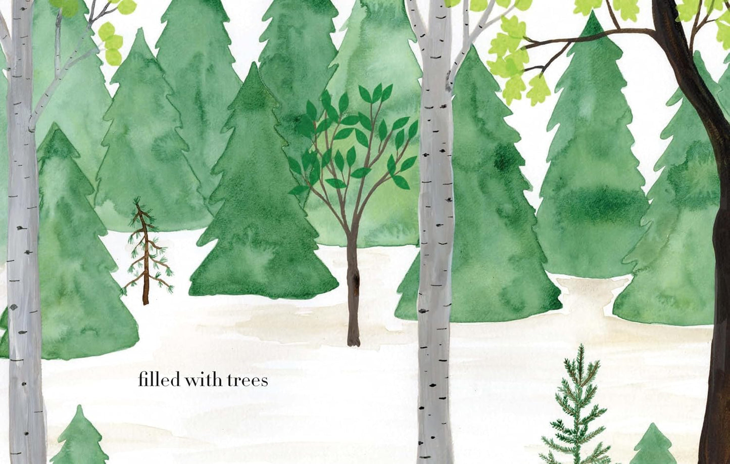 Forest - Hardcover Picture Book