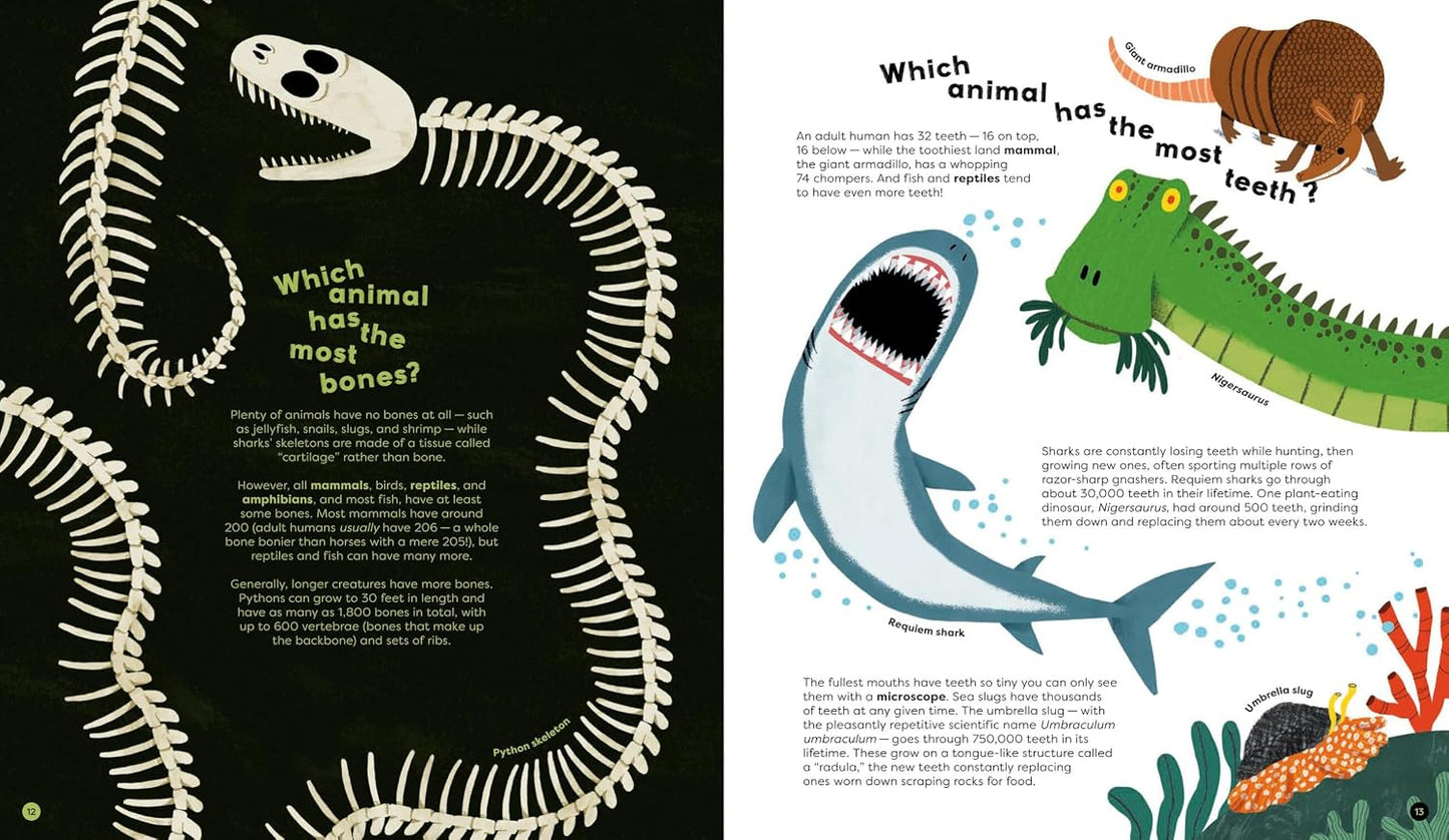 There are No Silly Questions - Hardcover Picture Book