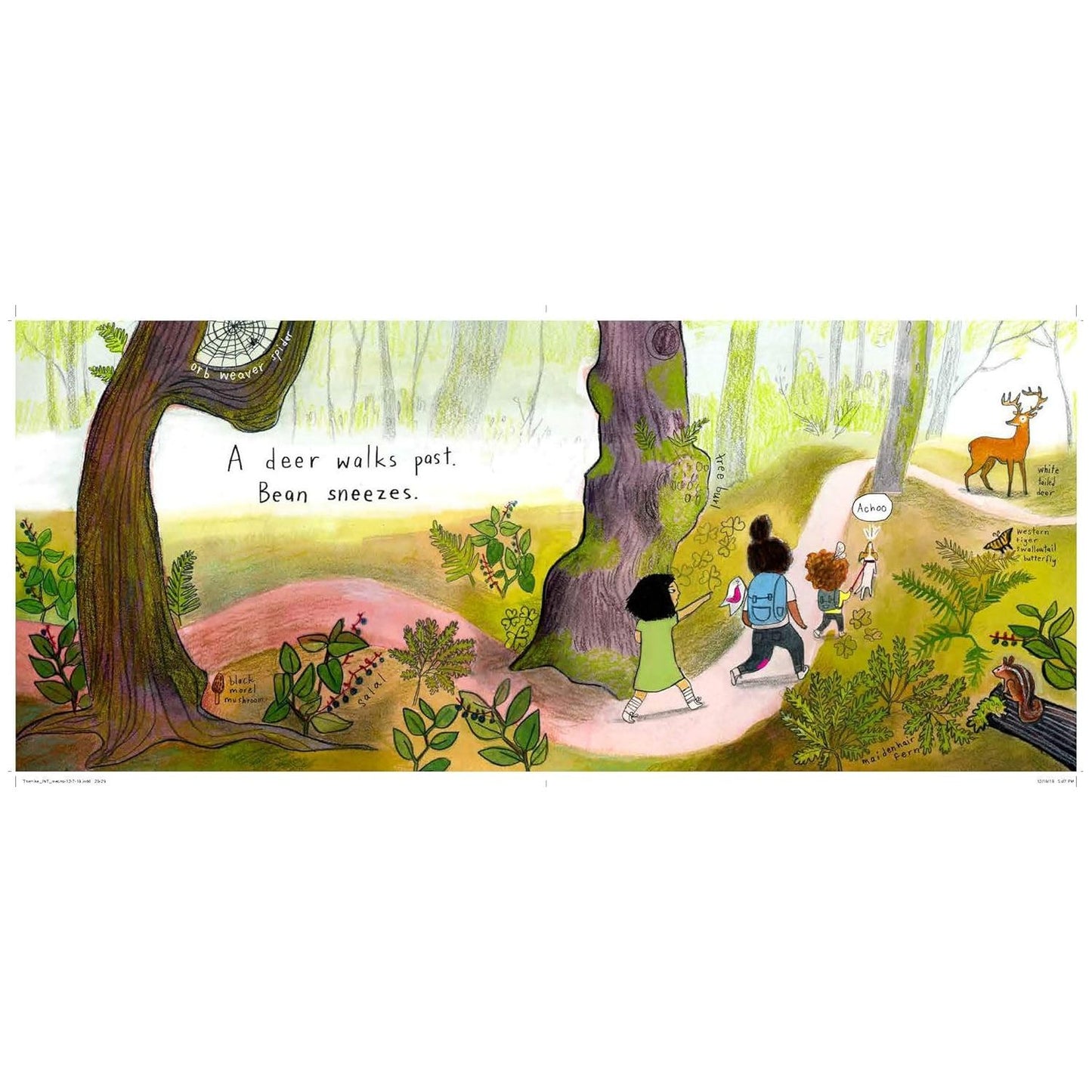 The Hike - Hardcover Picture Book