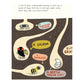 The Bug Club - Hardcover Picture Book
