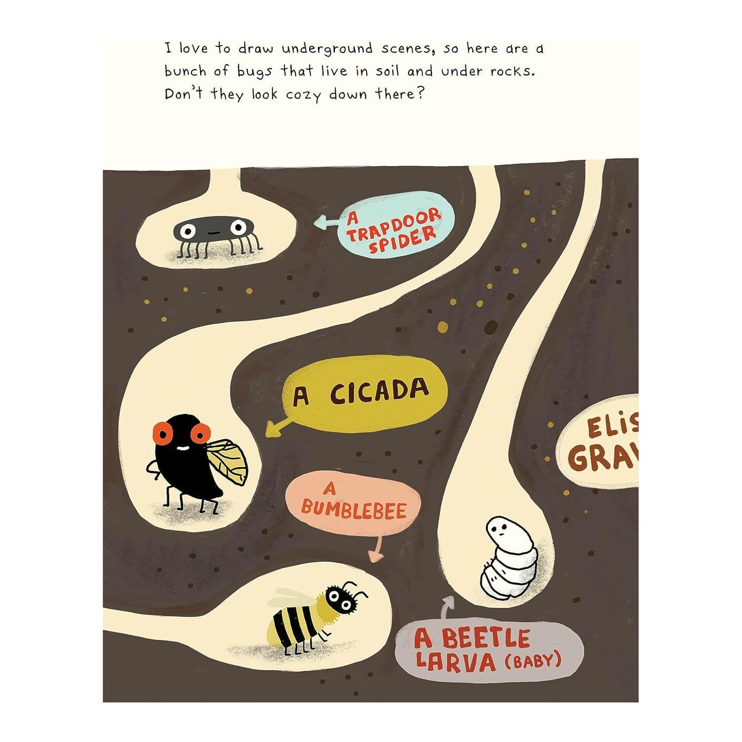 The Bug Club - Hardcover Picture Book