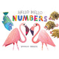 Hello Hello Numbers - Board Book
