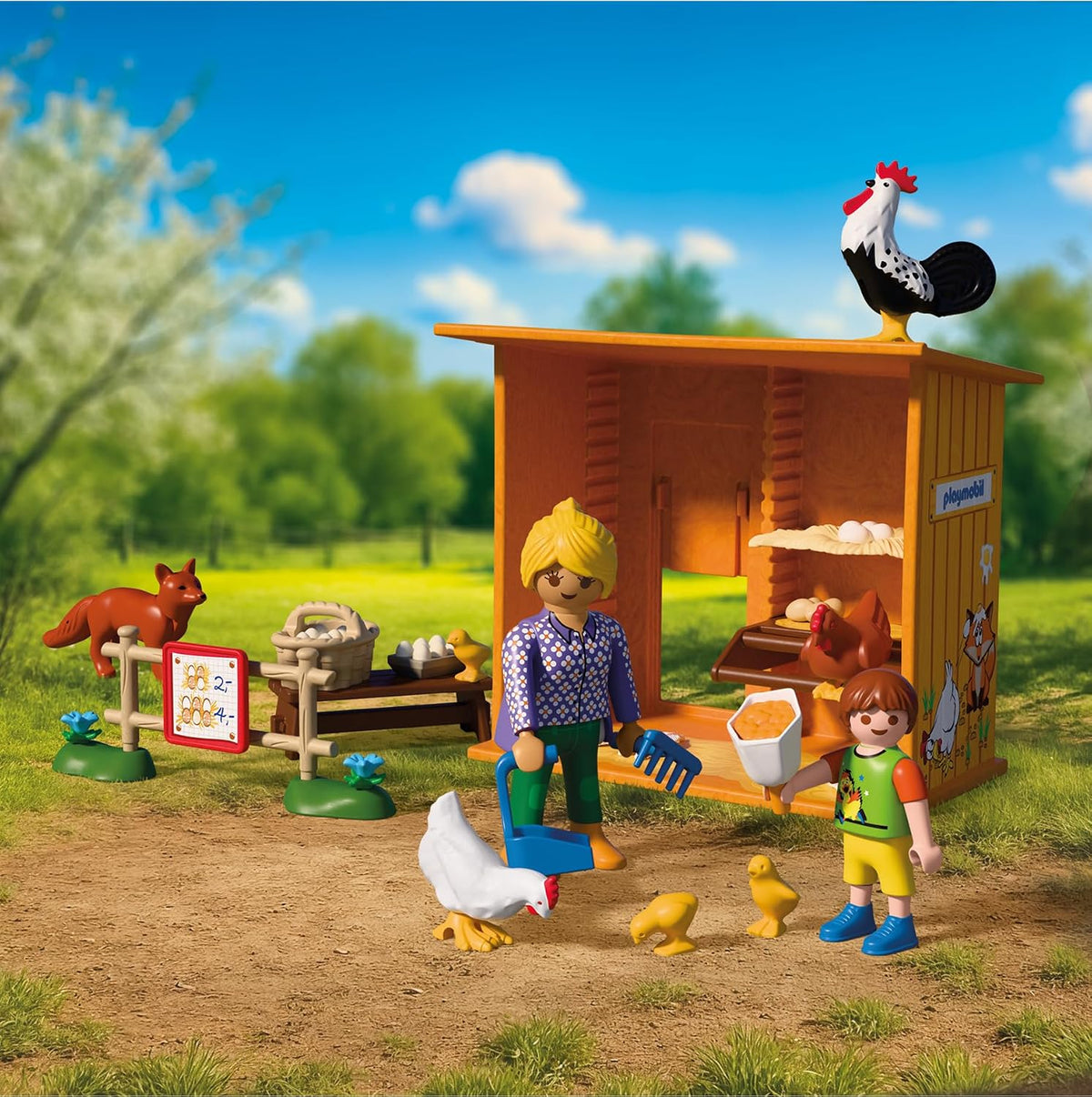 Country: Chicken Coop