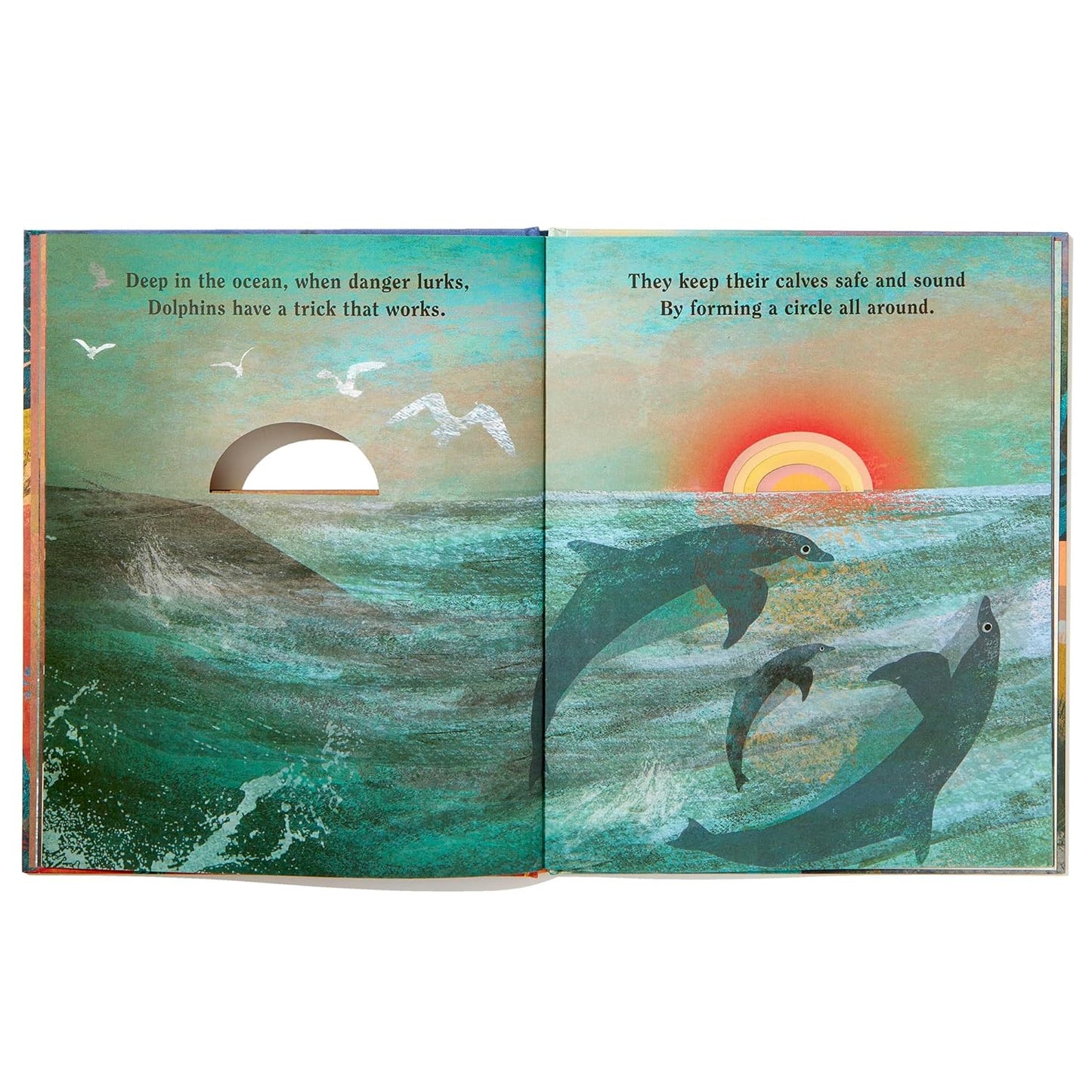 Family - A Peek-Through Hardcover Picture Book