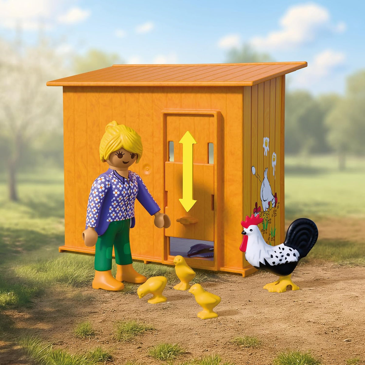 Country: Chicken Coop