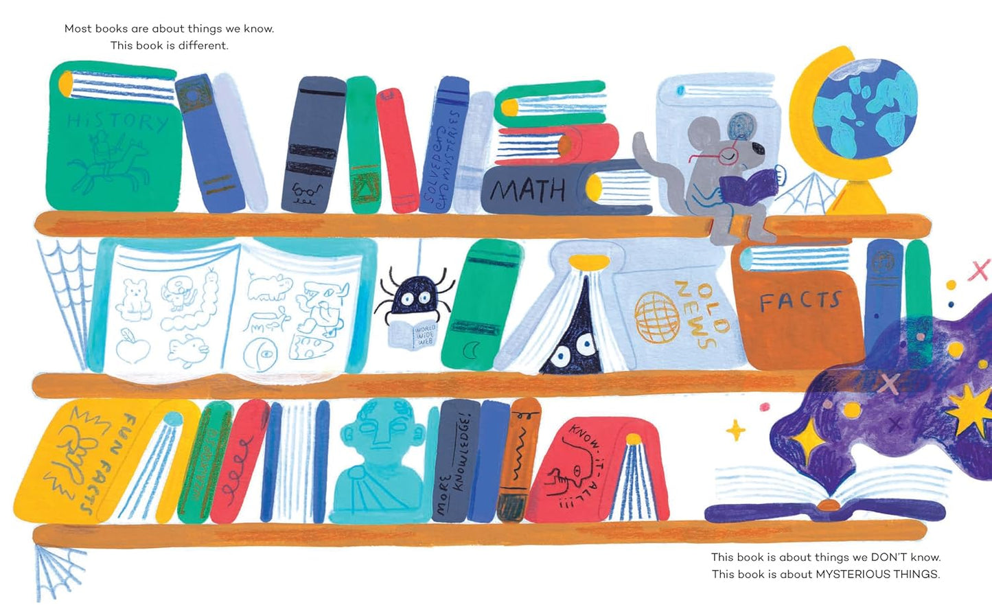 Mysterious Things - Hardcover Picture Book