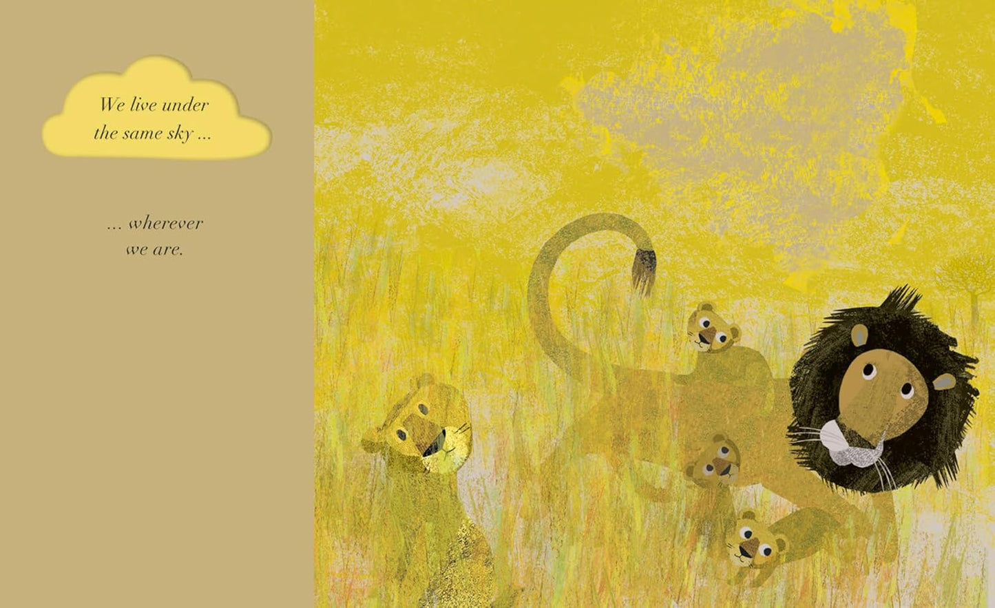 Under the Same Sky - Paperback Picture Book