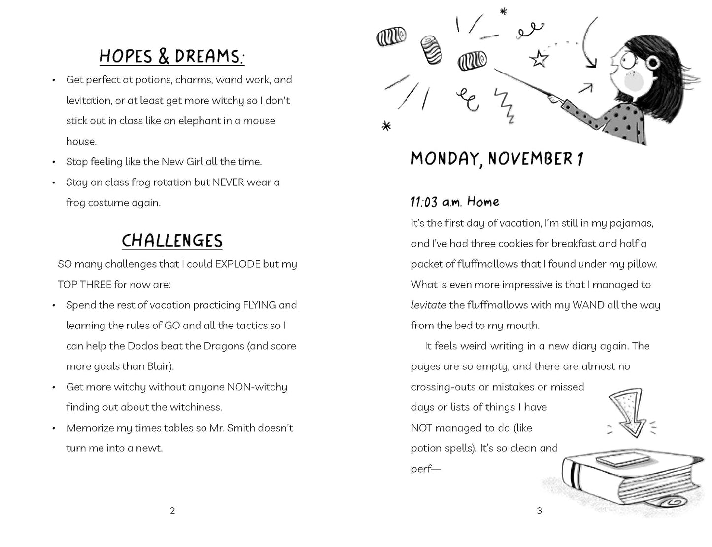 Diary of an Accidental Witch: Flying High (Book 3) - Paperback Novel