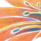 Have You Ever Seen a Flower? - Hardcover Picture Book