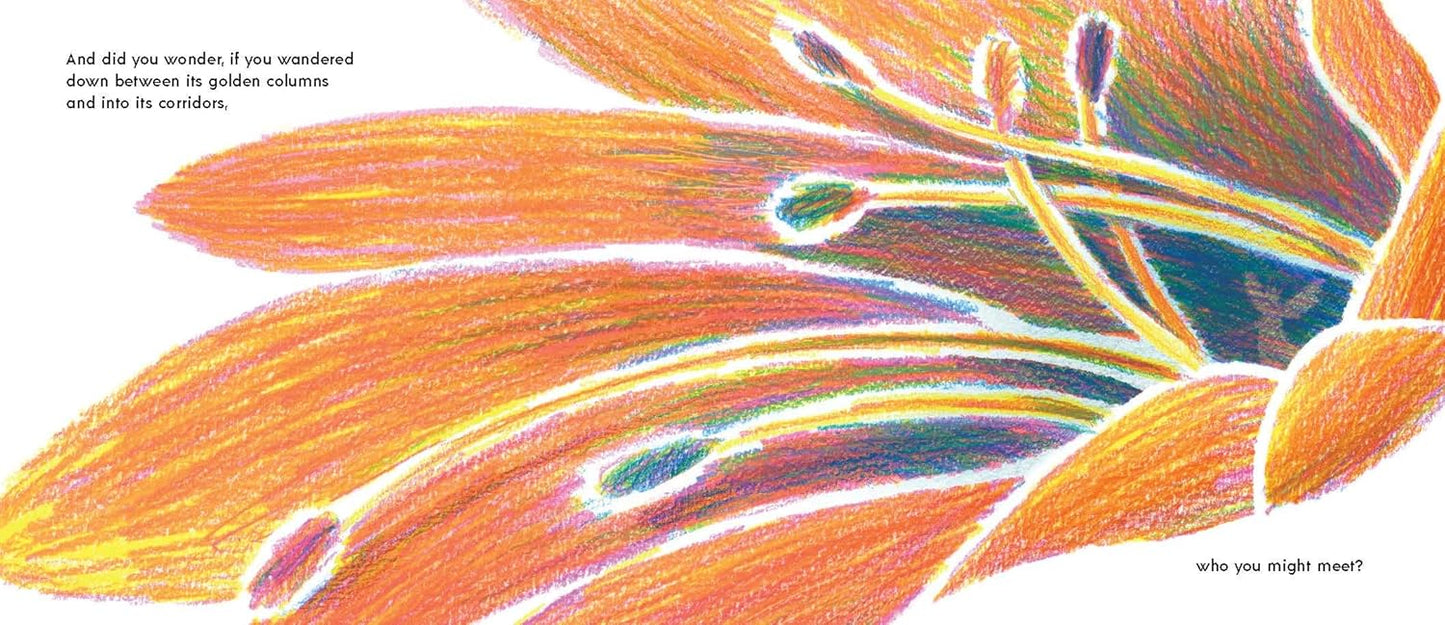 Have You Ever Seen a Flower? - Hardcover Picture Book