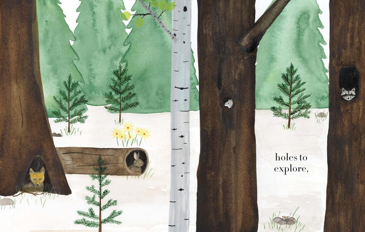 Forest - Hardcover Picture Book