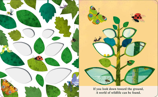 Bugs - A Peek-Through Picture Book