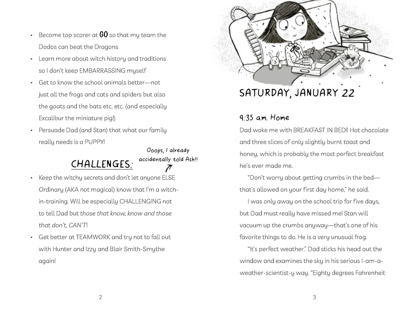 Diary of an Accidental Witch: Unexpected Visitors (Book 7) - Paperback Novel