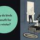 Just Because - Board Book
