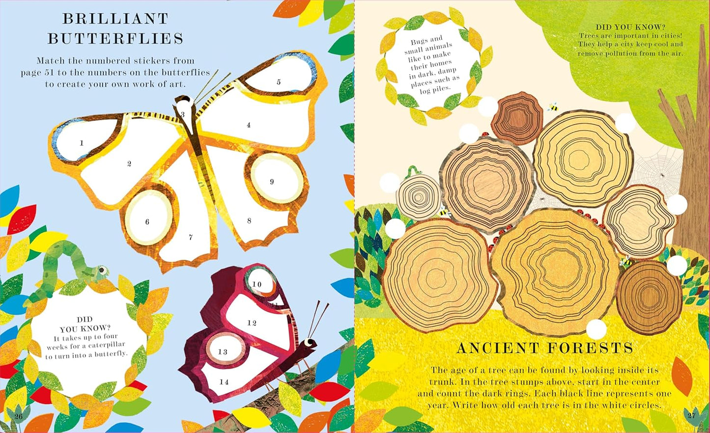 Tree: A Peek-Through Activity Book
