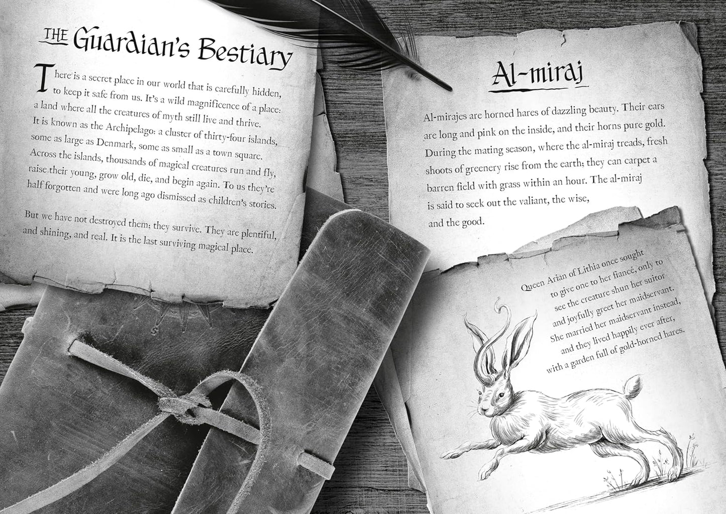 Impossible Creatures - Paperback Novel